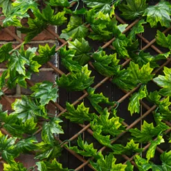 Apollo Maple Leaf Willow Trellis Panel (W)200cm X (H)100cm 7 Apollo Maple Leaf Willow Trellis Panel (W)200cm X (H)100cm -Garden - Landscaping Store apollo maple leaf willow trellis panel w 200cm x h 100cm5037653779309 02i bq