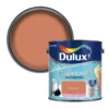 Dulux Easycare Bathroom Frosted Papaya Soft Sheen Wall Paint, 2.5L -Garden - Landscaping Store dulux easycare bathroom frosted papaya soft sheen wall paint 2 5l5010212668627 02c bq