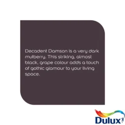 Dulux Easycare Washable & Tough Decadent Damson Matt Wall Paint, 2.5L 16 Dulux Easycare Washable & Tough Decadent Damson Matt Wall Paint, 2.5L -Garden - Landscaping Store dulux easycare washable tough decadent damson matt wall paint 2 5l5010212658628 36c bq