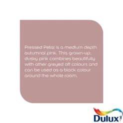 Dulux Easycare Washable & Tough Pressed Petal Matt Wall Paint, 5L -Garden - Landscaping Store dulux easycare washable tough pressed petal matt wall paint 5l5010212668283 36c bq