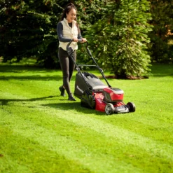 Mountfield Freedom500 Range Empress 41 R Li Kit / 299439073/M22 Cordless 48V Rotary Lawnmower 22 Mountfield Freedom500 Range Empress 41 R Li Kit / 299439073/M22 Cordless 48V Rotary Lawnmower -Garden - Landscaping Store mountfield freedom500 range empress 41 r li kit 299439073 m22 cordless 48v rotary lawnmower8008984851429 01i