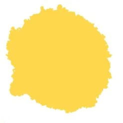 Rust-Oleum Painter's Touch Marigold Gloss Multi-surface Decorative Spray Paint, 400ml -Garden - Landscaping Store rust oleum painter s touch marigold gloss multi surface decorative spray paint 400ml5013296950954 21c bq