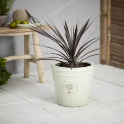 Verve Barcău Olive Ceramic Circular Plant Pot (Dia)32cm 7 Verve Barcău Olive Ceramic Circular Plant Pot (Dia)32cm -Garden - Landscaping Store verve barcau olive ceramic circular plant pot dia 32cm5059340327785 01i