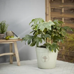 Verve Barcău Olive Ceramic Circular Plant Pot (Dia)40cm -Garden - Landscaping Store verve barcau olive ceramic circular plant pot dia 40cm5059340327761 01i