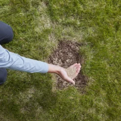 Verve Easy Start Coated Grass Seeds, 1.5kg 12 Verve Easy Start Coated Grass Seeds, 1.5kg -Garden - Landscaping Store verve easy start coated grass seeds 1 5kg3663602947493 03i