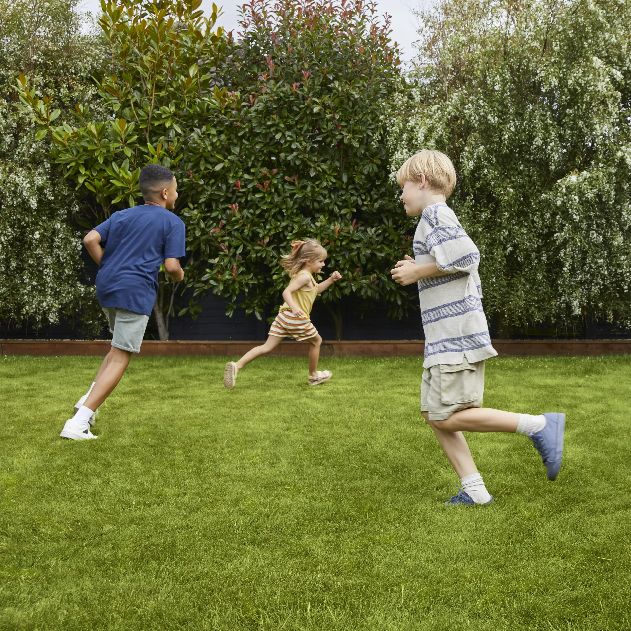 Verve Family & Sports Grass Seeds, 1.5kg 5 Verve Family & Sports Grass Seeds, 1.5kg - Image 3