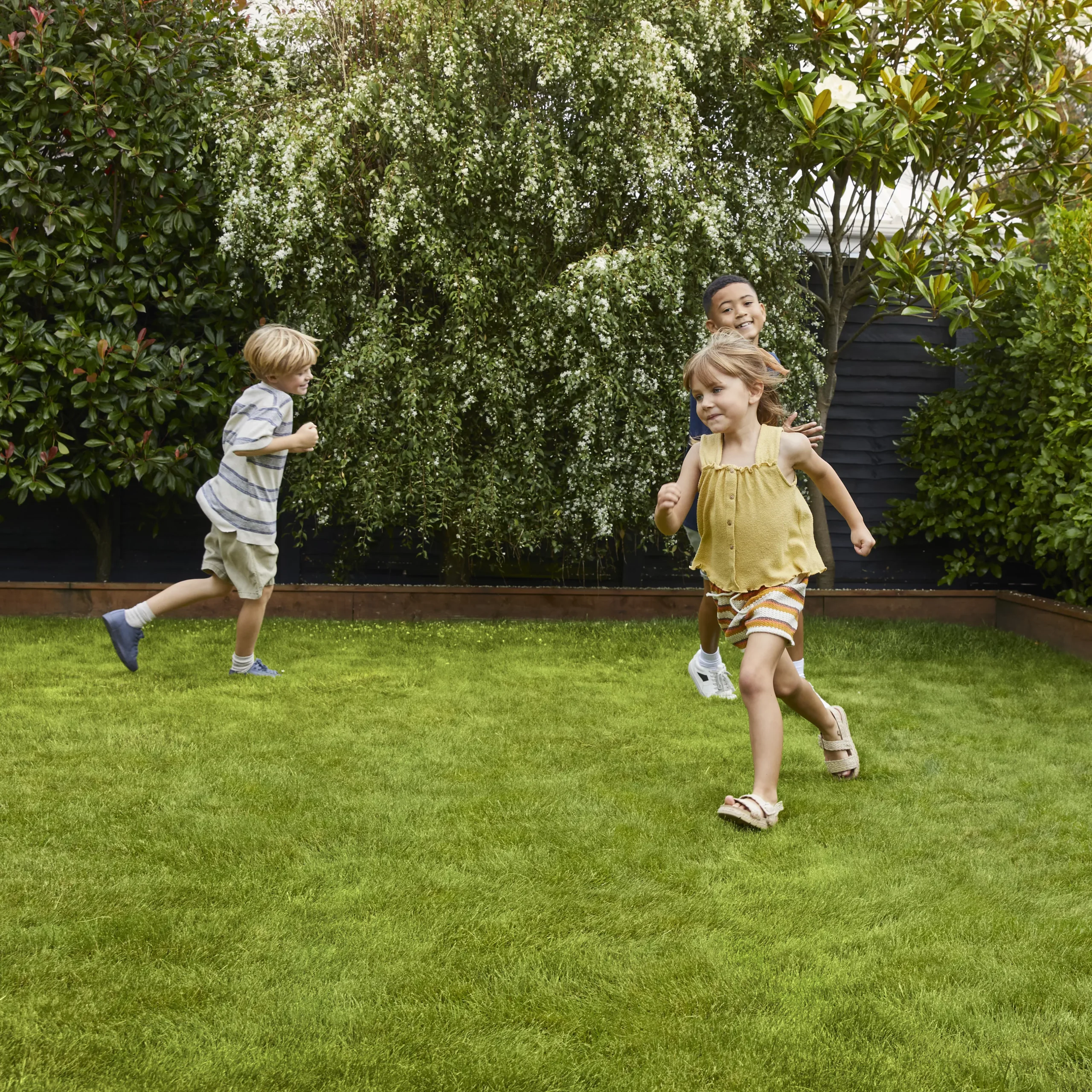 Verve Family & Sports Grass Seeds, 1.5kg 6 Verve Family & Sports Grass Seeds, 1.5kg - Image 4