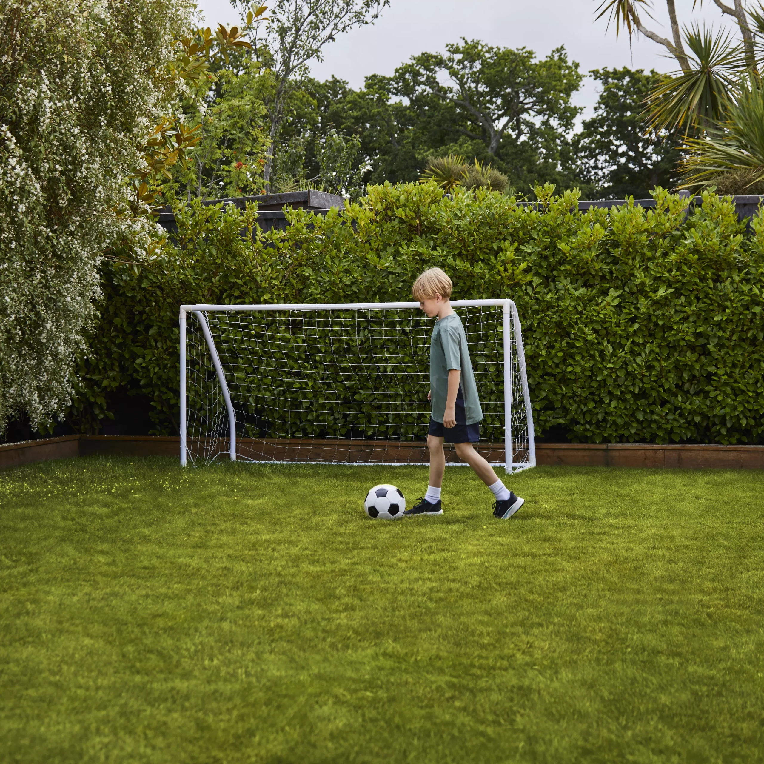 Verve Family & Sports Grass Seeds, 1.5kg 11 Verve Family & Sports Grass Seeds, 1.5kg - Image 9