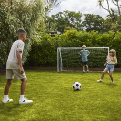 Verve Family & Sports Grass Seeds, 1.5kg 24 Verve Family & Sports Grass Seeds, 1.5kg -Garden - Landscaping Store verve family sports grass seeds 1 5kg3663602947516 09i