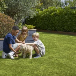 Verve Family & Sports Grass Seeds, 10kg 17 Verve Family & Sports Grass Seeds, 10kg -Garden - Landscaping Store verve family sports grass seeds 10kg3663602947516 04i