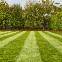 Verve Fine English Grass Seeds, 1.25kg -Garden - Landscaping Store verve fine english grass seeds 1 25kg3663602947592 01i