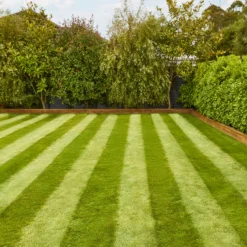 Verve Fine English Grass Seeds, 1.25kg -Garden - Landscaping Store verve fine english grass seeds 1 25kg3663602947592 02i