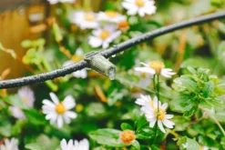 Verve Irrigation Kit 20 Pieces -Garden - Landscaping Store verve irrigation kit 20 pieces5063022059888 02i