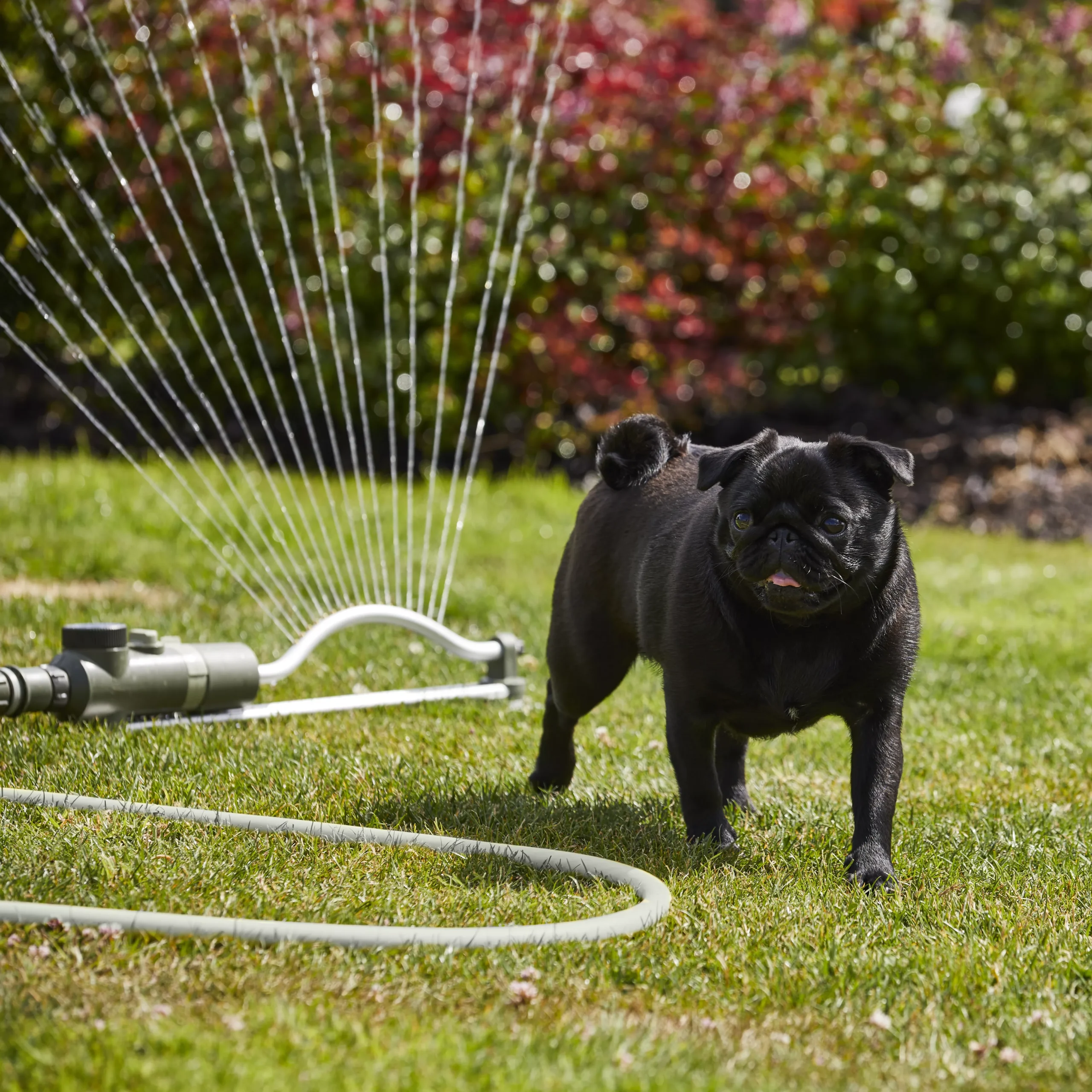 Verve Oscillating Fan Sprinkler 10 Verve Oscillating Fan Sprinkler - Image 8