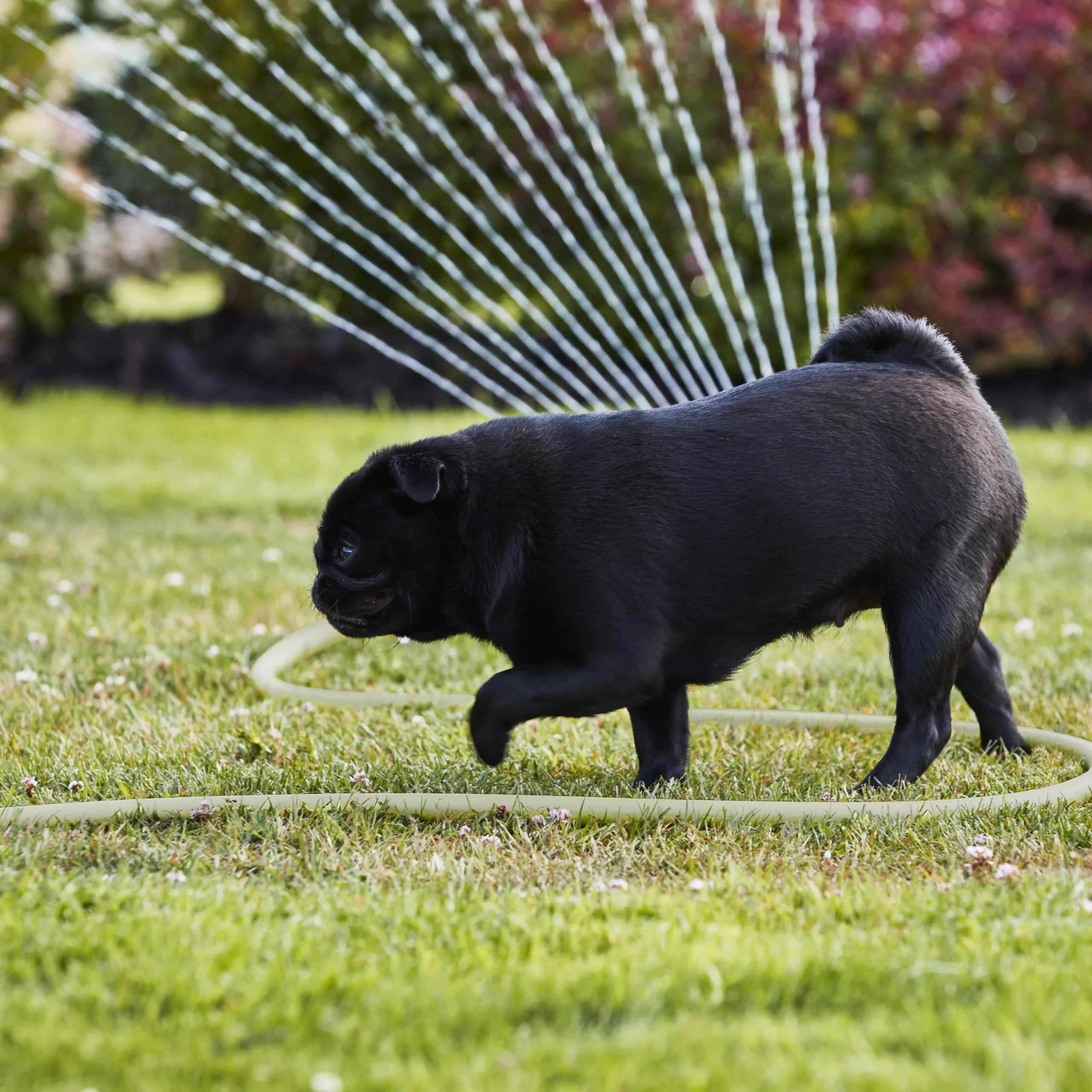 Verve Oscillating Fan Sprinkler 11 Verve Oscillating Fan Sprinkler - Image 9