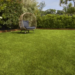 Verve Sunny Grass Seeds, 5kg -Garden - Landscaping Store verve sunny grass seeds 5kg3663602947578 01i