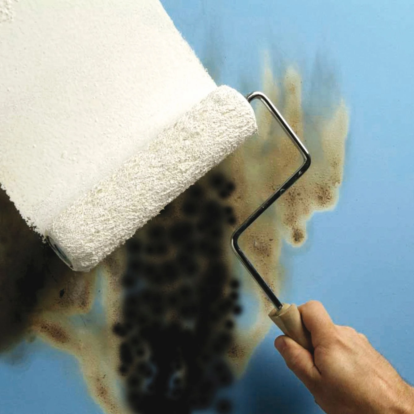 Zinsser B-I-N White Multi-surface Matt Primer, 1L 5 Zinsser B-I-N White Multi-surface Matt Primer, 1L - Image 3